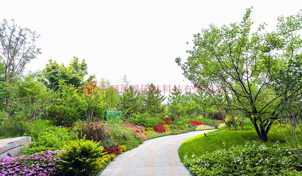 实景图11.jpg