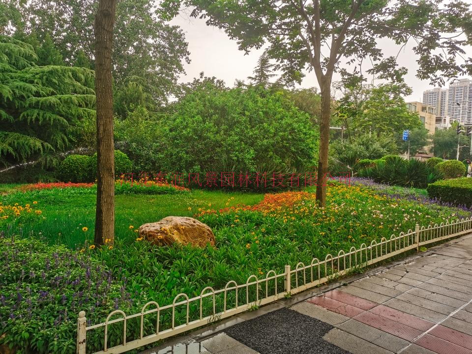 05.jpg
