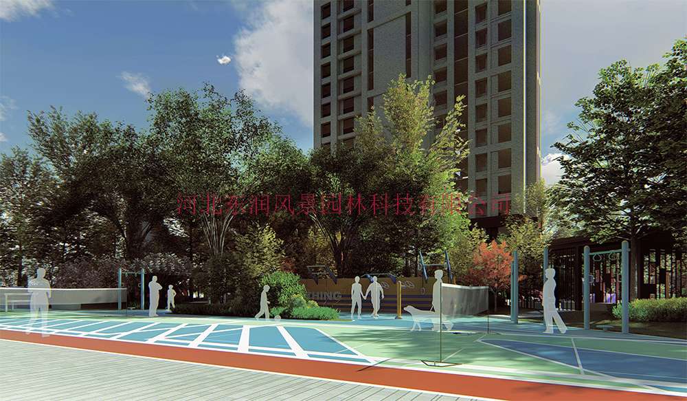 06.jpg