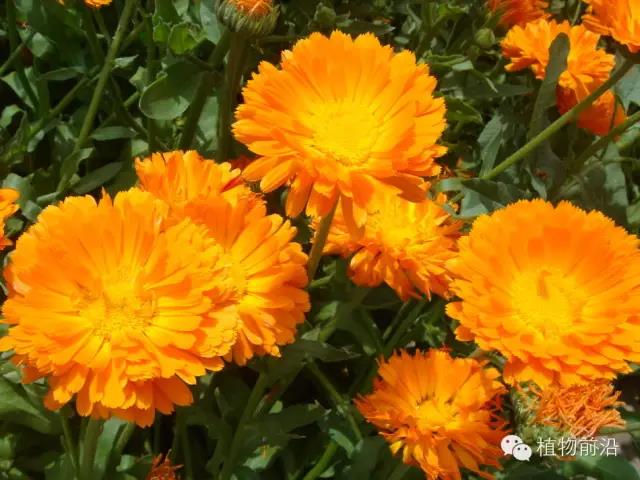 微信图片_20200512152626.jpg