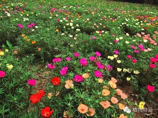 微信图片1_20200512135404.jpg